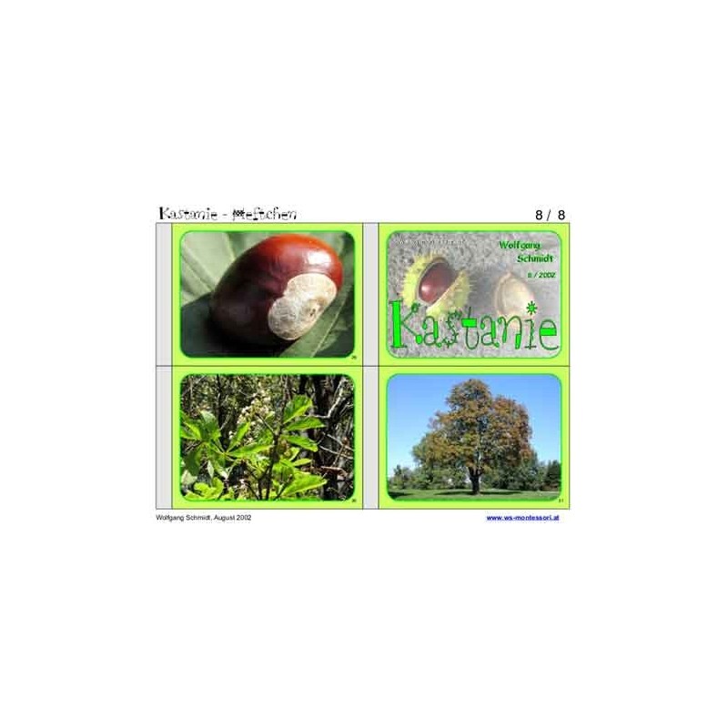 Chestnut material