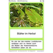 Chestnut material