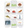 Phonetic training stopper cards
