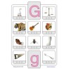 Phonetic training stopper cards