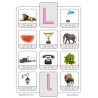 Phonetic training stopper cards