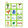 Reading material: phonograms