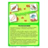 Reading material: phonograms