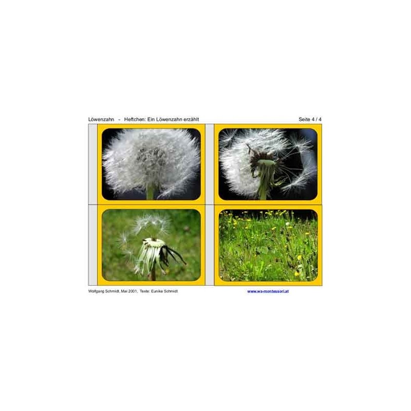 Dandelion booklet