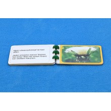 Dandelion booklet