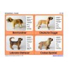 Material z.d. Hundemodellen v.Schleich
