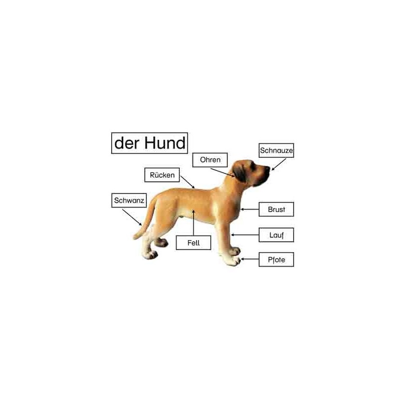 Material z.d. Hundemodellen v.Schleich