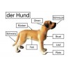 Material for dog models by Schleich