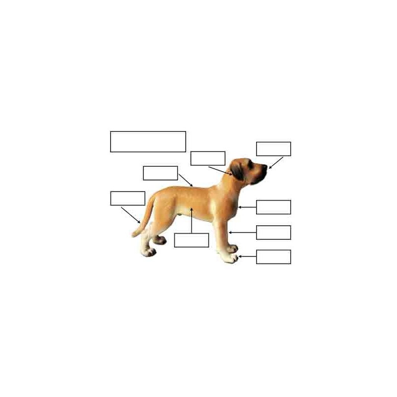 Material for dog models by Schleich