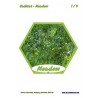 Meadow (This article is also available in German)