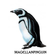 Penguin parade