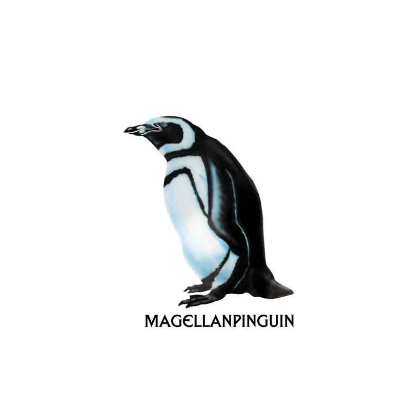 Penguin parade