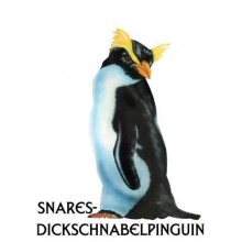 Penguin parade
