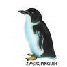 Penguin parade