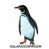 Penguin parade