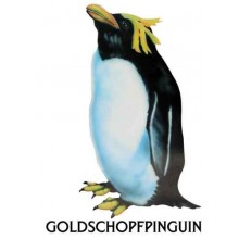 Penguin parade
