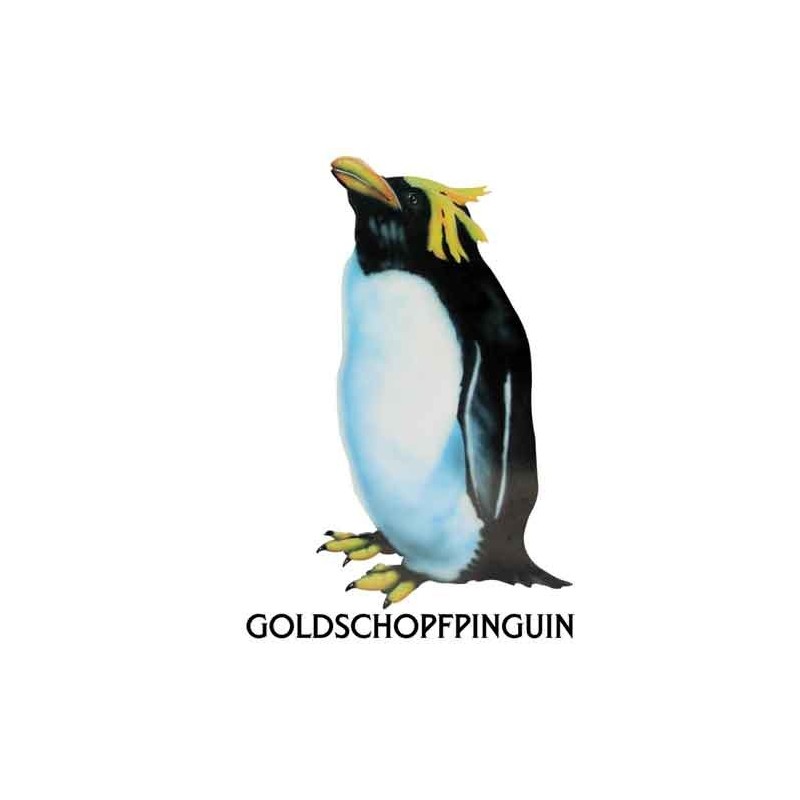 Penguin parade