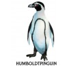 Penguin parade