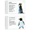 Penguin parade