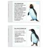 Penguin parade