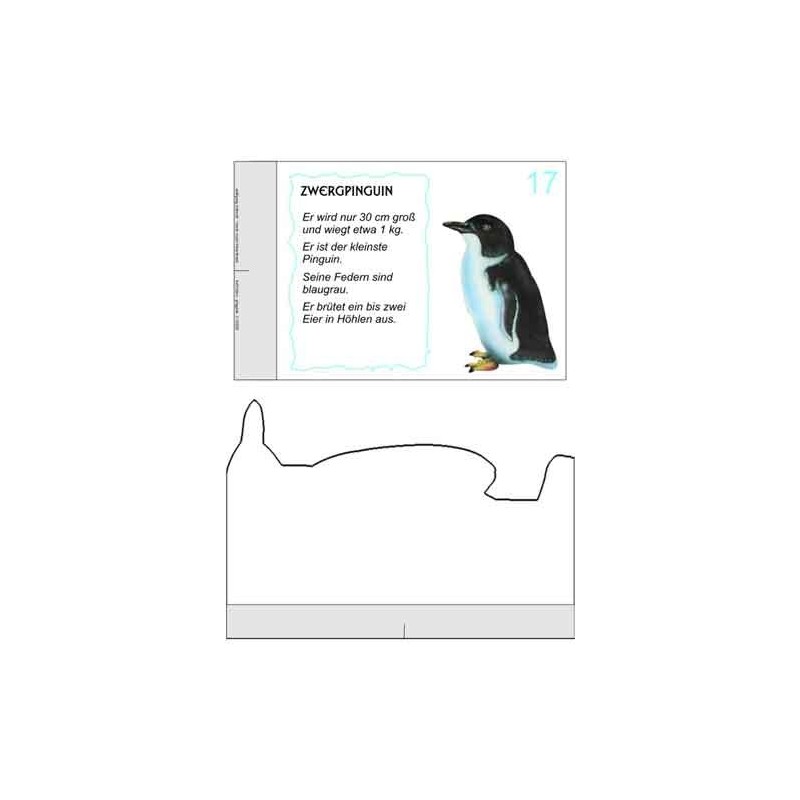Penguin parade