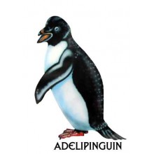 Penguin parade