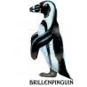 Penguin parade