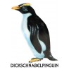 Penguin parade
