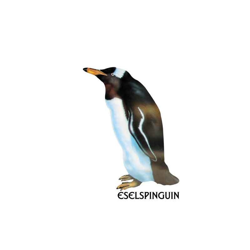 Penguin parade