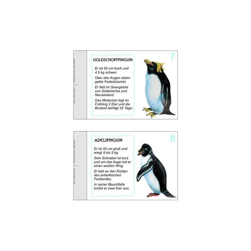 Penguin parade