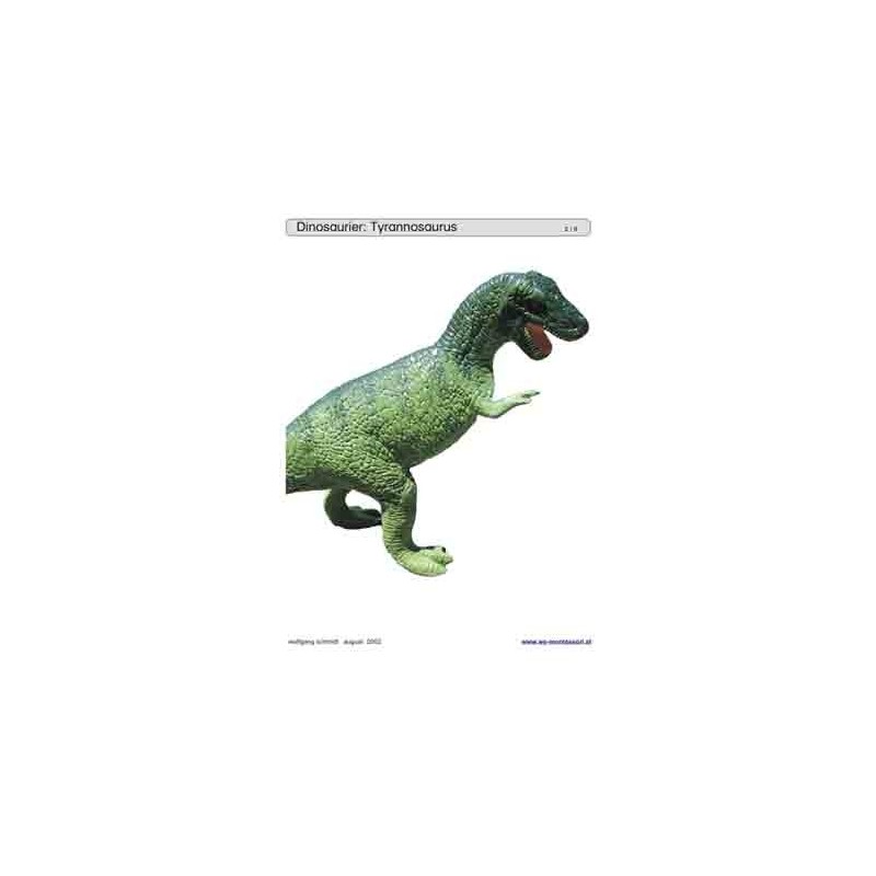 Schiebe- und Aufdeckspieleinlagen - Dinosaurier