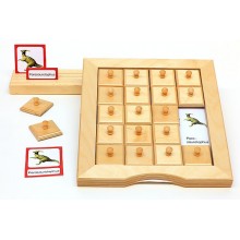 Schiebe- und Aufdeckspieleinlagen - Dinosaurier