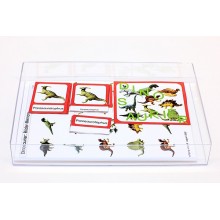 Schiebe- und Aufdeckspieleinlagen - Dinosaurier