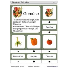 Schiebe- und Aufdeckspieleinlagen - Gemüse Deutschland