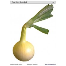 Schiebe- und Aufdeckspieleinlagen - Gemüse Österreich