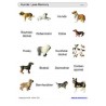 Sliding and turndown inserts - dogs