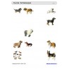 Sliding and turndown inserts - dogs