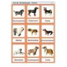 Sliding and turndown inserts - dogs
