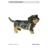 Sliding and turndown inserts - dogs