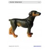 Schiebe- und Aufdeckspieleinlagen - Hunde