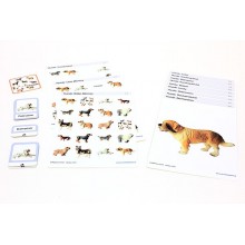 Schiebe- und Aufdeckspieleinlagen - Hunde