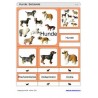 Sliding and turndown inserts - dogs