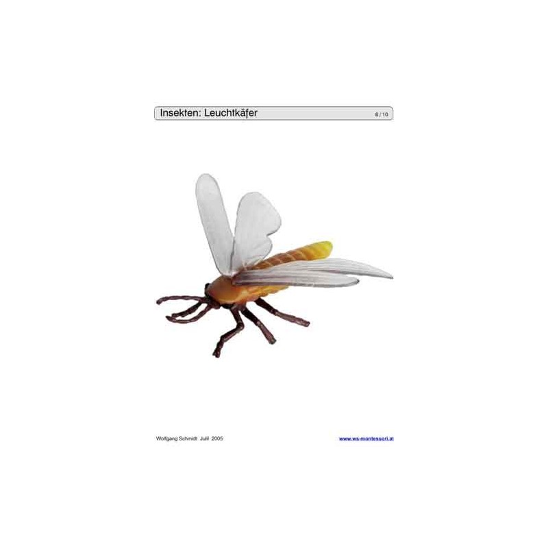 Schiebe- und Aufdeckspieleinlagen - Insekten