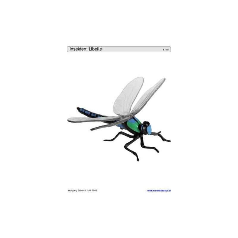 Schiebe- und Aufdeckspieleinlagen - Insekten