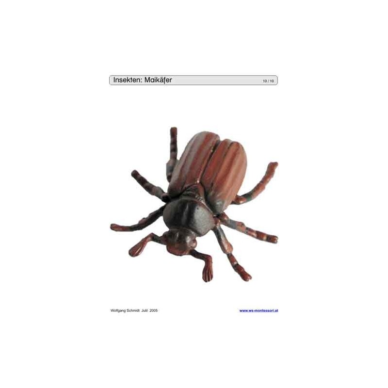 Schiebe- und Aufdeckspieleinlagen - Insekten