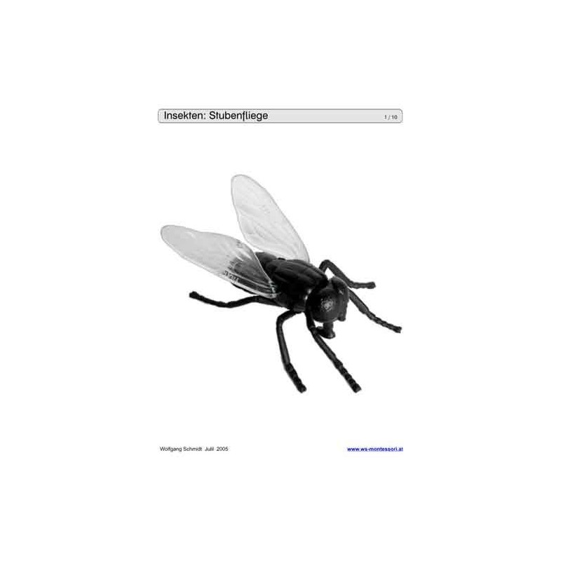 Schiebe- und Aufdeckspieleinlagen - Insekten