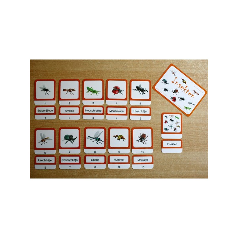 Schiebe- und Aufdeckspieleinlagen - Insekten