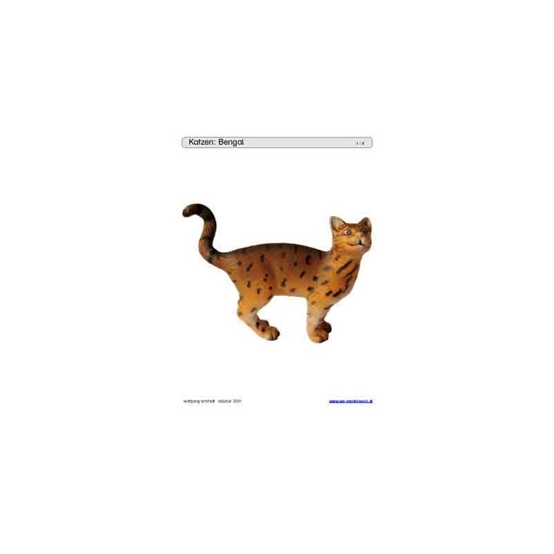 Schiebe- und Aufdeckspieleinlagen - Katzen