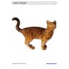 Schiebe- und Aufdeckspieleinlagen - Katzen