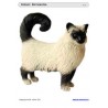 Schiebe- und Aufdeckspieleinlagen - Katzen